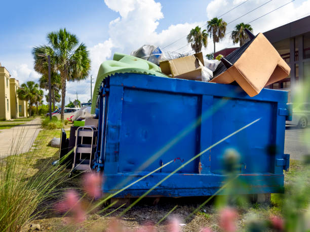 Best Moving and Downsizing Cleanouts  in Buhl, MN